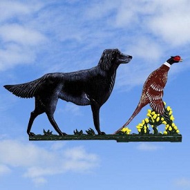 Architectural Castings: weathervane-black-dog-pheasant-painted
